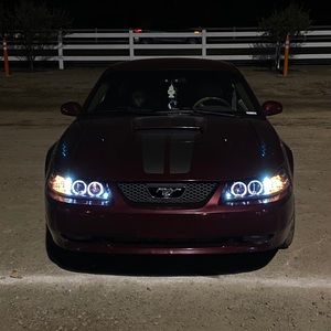 Meet your Posher, Joseph